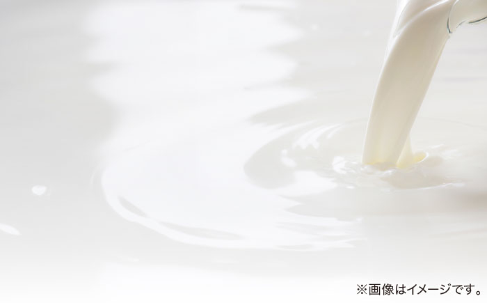 バニラアイスクリーム 12個入 アイス 添加物不使用  [ATAC216]