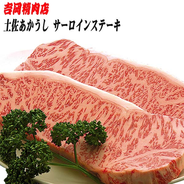 牛肉 肉 お肉 和牛 土佐和牛 国産 牛 赤身 高知 あかうし