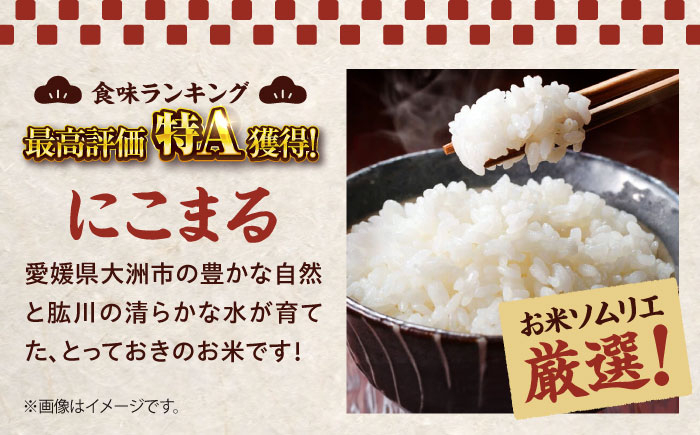 お米 にこまる 20kg（10kg×2袋）米・食味鑑定士×お米ソムリエ×白米ソムリエ