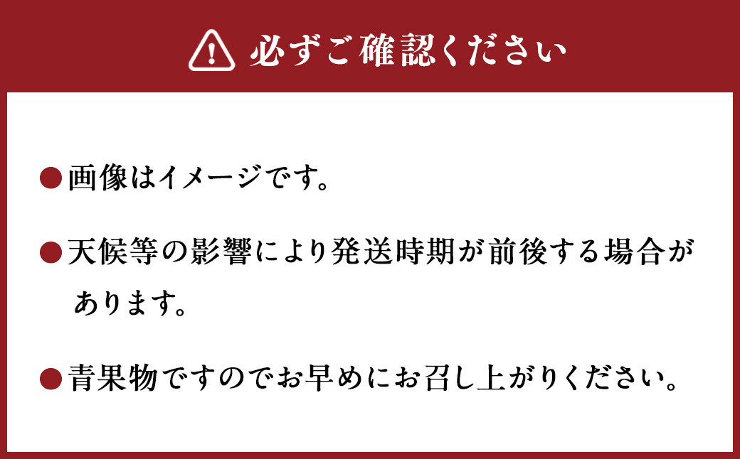 ＜宮崎県産完熟マンゴー 2L×3玉（約1kg）＞