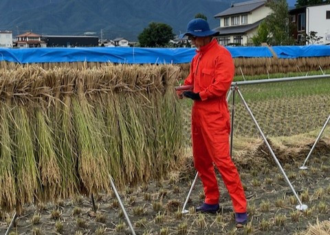 信州の恵み、松本市産のコシヒカリ