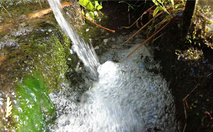 芋焼酎「土佐藩」1．8L 高知県地場産業賞受賞  [ATAC147]