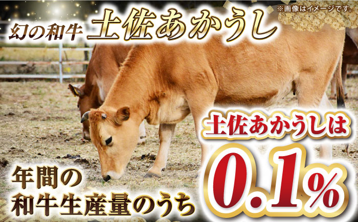 牛肉 肉 お肉 和牛 土佐和牛 国産 牛 もも モモ 赤身 高知 あかうし しゃぶしゃぶ すき焼き