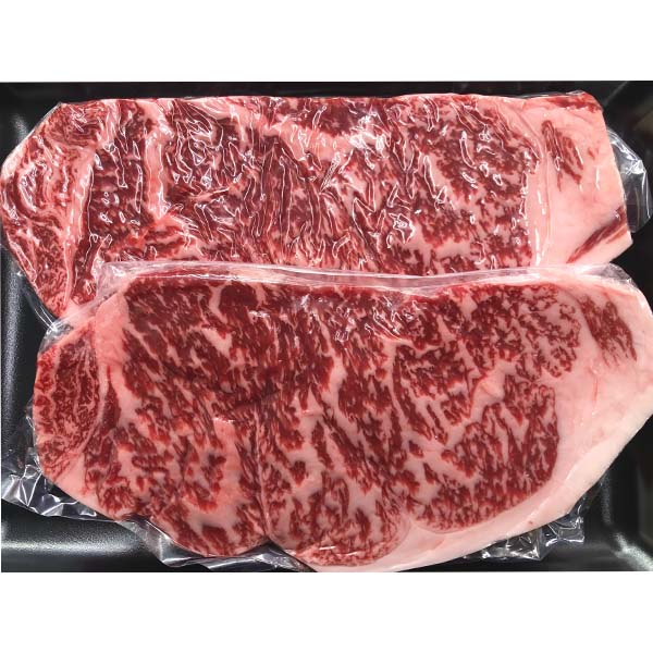 牛肉 肉 お肉 和牛 土佐和牛 国産 牛 赤身 高知 あかうし