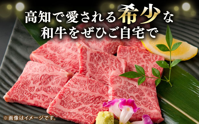 牛肉 肉 お肉 和牛 土佐和牛 国産 牛 赤身 高知 あかうし 焼肉