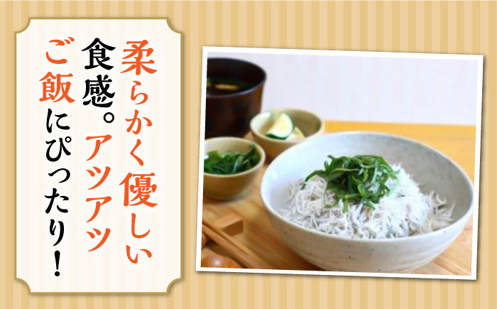 シラス 新鮮  国産 魚 海鮮 簡単調理 時短 高知 しらす