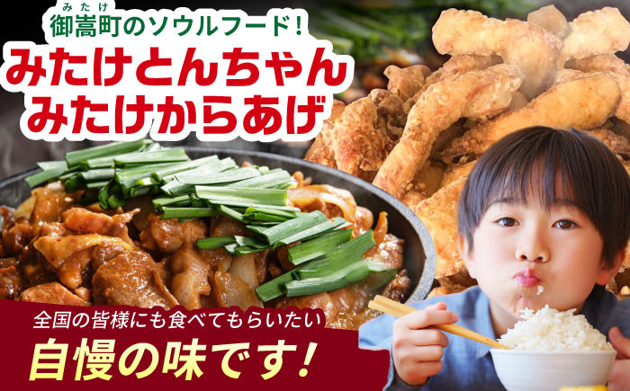 モツ ホルモン 味噌 豚肉 豚ホルモン 唐揚げ から揚げ 揚げるだけ 冷凍