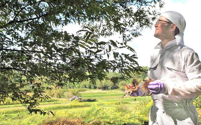 はちみつ 蜜蝋 セット 蓮華蜂蜜 国産 蜂蜜 ハチミツ ハンドメイド 国産蜂蜜  贈答 ギフト おすすめ 人気 岐阜県 恵那市