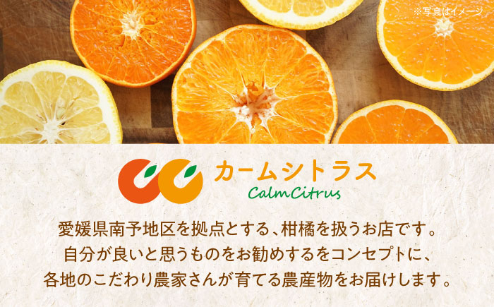 【ちょっと訳あり】温州みかん 愛媛県産 南柑20号 10kg