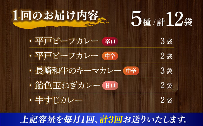 【カレー好きのためのアソートセット】カレー工房NVfoodsのカレー5種（12袋）詰め合わせセット 