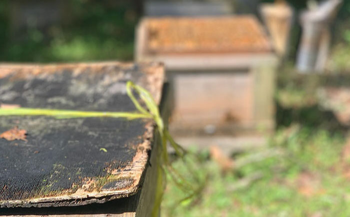 はちみつ 蓮華 百花 栗 国産 蜂蜜 ハチミツ セット 産地直送 国産蜂蜜 贈答 ギフト おすすめ 人気 岐阜県 恵那市