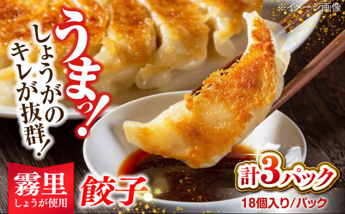 餃子 しょうが餃子 ギョウザ ぎょうざ 焼き餃子 餃子家 龍 おかず 冷凍食品 