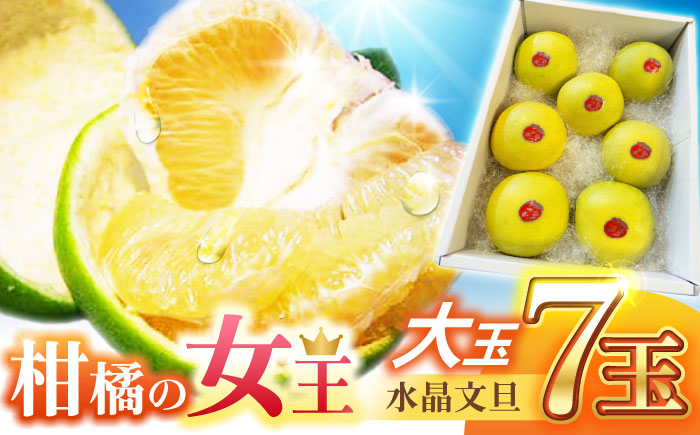 南国土佐の女王柑橘 水晶文旦 約5kg 7玉入り 大玉サイズ ぶんたん 文旦 フルーツ 高知名物 果物〈2024年9月～発送〉 