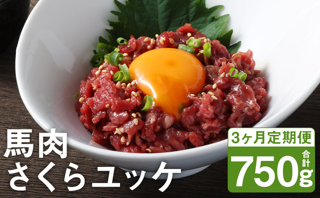 【3ヶ月定期便】馬肉さくらユッケ250g(50g×5)