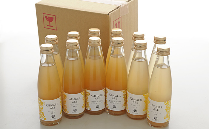 ジンジャーエール3種12本セット【はるのTERRACE [ATAV022]