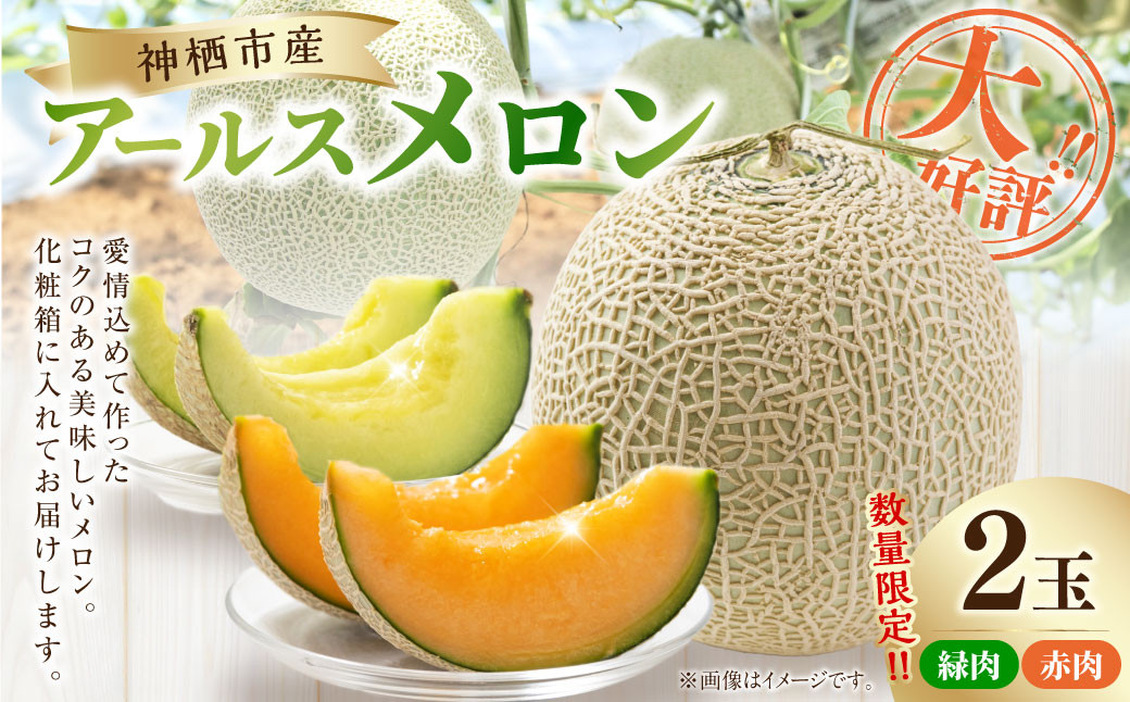 大好評!アールスメロン（2玉）化粧箱入