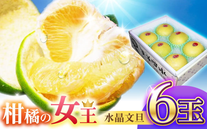 南国土佐の女王柑橘 水晶文旦 約3kg 6玉入り ぶんたん 文旦 フルーツ 高知名物 果物〈2024年9月～発送〉 【フルーツシ