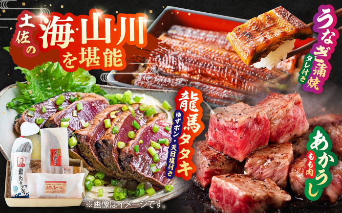 「土佐の海 川 山」 鰹たたき うなぎ蒲焼き あかうしセット かつお 鰹 藁焼き カツオ 鰻 うなぎ