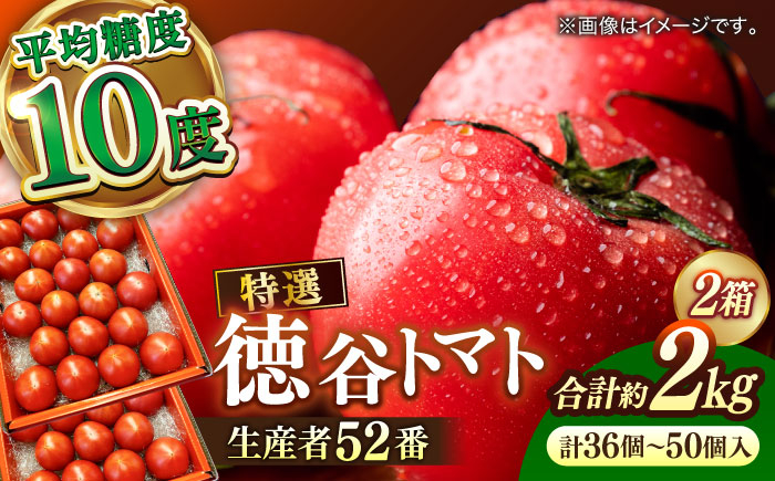 トマト とまと フルーツ 野菜 果物 季節もの 希少 高糖度 甘い 特選 徳谷トマト