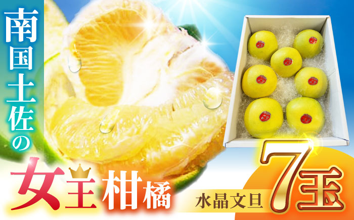 南国土佐の女王柑橘 水晶文旦 約3kg 7玉入り 文旦 ぶんたん フルーツ 果物 3キロ 高知県〈2024年9月～発送〉【フルー