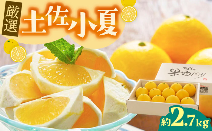 小夏 土佐小夏 柑橘 果物 フルーツ デザート ビタミン 季節限定 期間限定 旬 初夏 高知 高知県 土佐