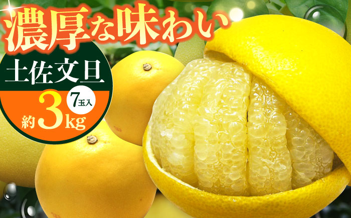 【先行予約】南国高知温室 土佐文旦 約3kg 7玉 文旦 ぶんたん フルーツ 果物 3キロ 高知県