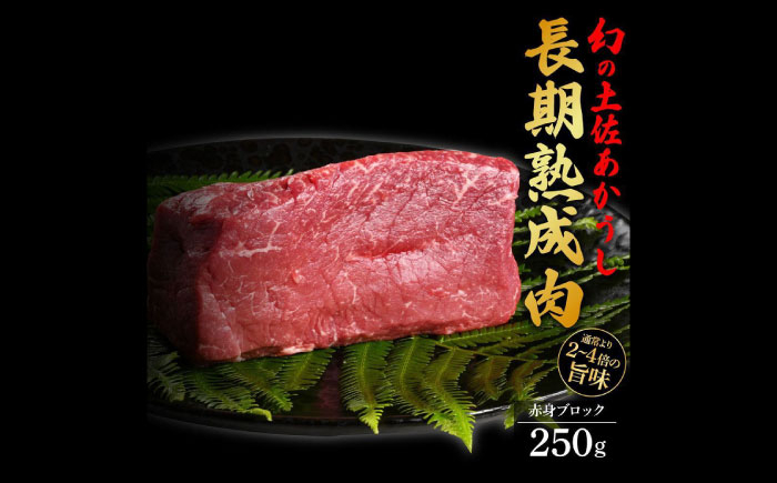 エイジング工法 熟成肉 土佐あかうし 特選赤身 ブロック 約250g (冷凍) 【株式会社LATERAL】 [ATAY052]