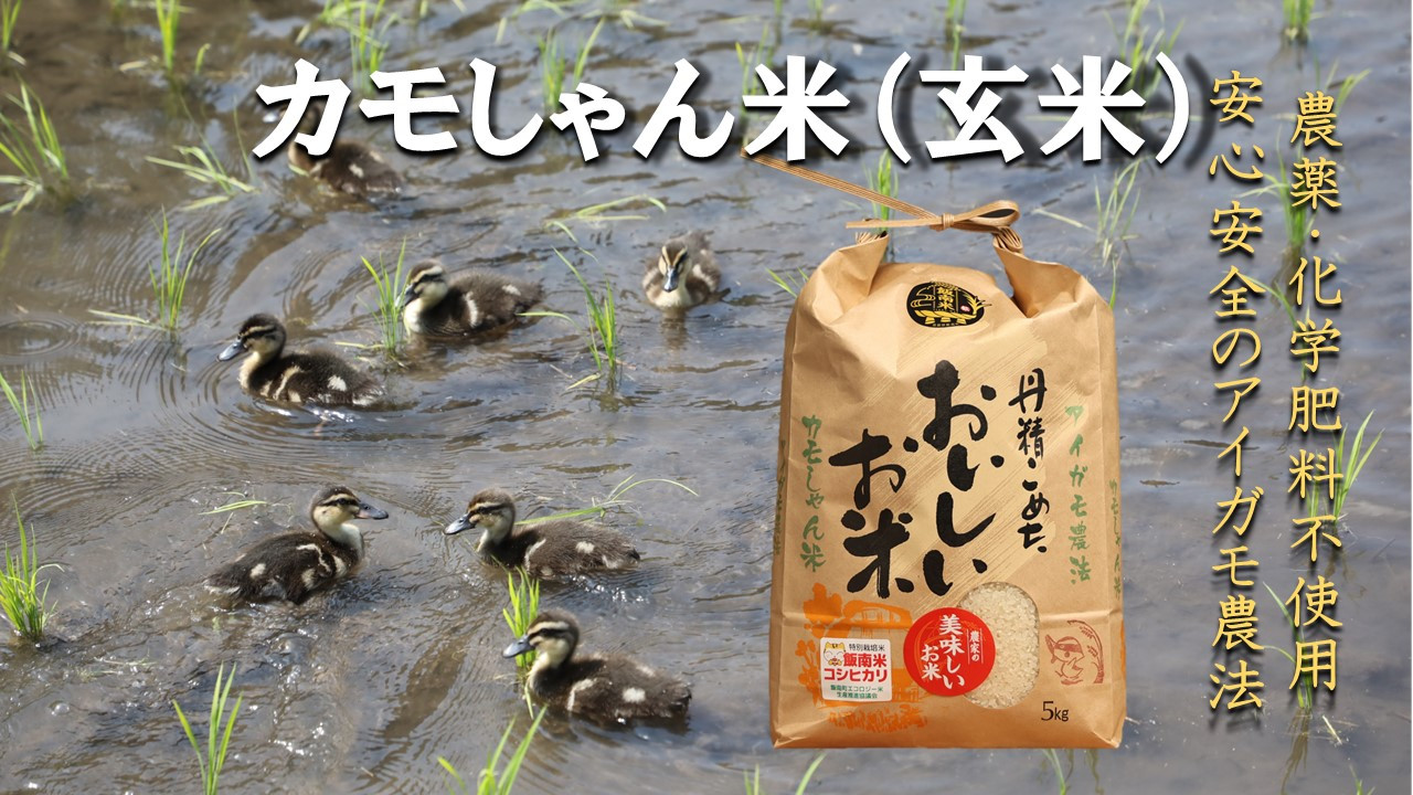 「カモしゃん米（まい）」の名前の由来は、「カモ」が「しゃん」と（しっかりと）育てた「お米」です。