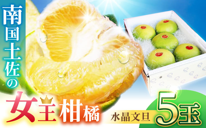南国土佐の女王柑橘 水晶文旦 約3kg 5玉入り 文旦 ぶんたん フルーツ 果物 3キロ 高知県