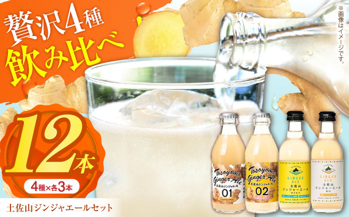 土佐山ジンジャーエール 飲み比べ4種セットA (200ml×12本入り) [ATBH007]