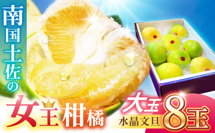 南国土佐の女王柑橘 水晶文旦 約5kg 8玉入り 大玉サイズ 文旦 ぶんたん フルーツ 果物 5キロ 高知県〈2024年9月～発