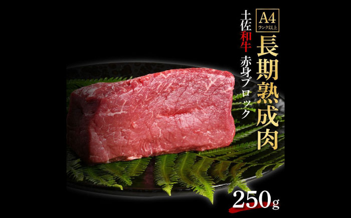 エイジング工法 熟成肉 土佐和牛 特選赤身 ブロック 約250g (冷凍) 【株式会社LATERAL】 [ATAY054]