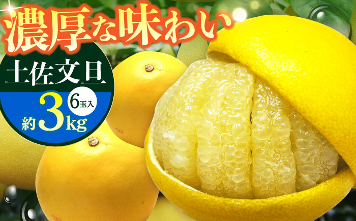 【先行予約】南国高知温室土佐文旦 約3kg 6玉 文旦 ぶんたん フルーツ 果物 3キロ 高知県