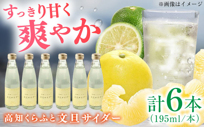 サイダー クラフトサイダー ジュース 炭酸 高知