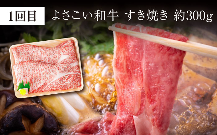 【3回定期便】お肉の定期便 高知県牛肉祭り (3ヵ月) 総計約1.8kg 国産 牛肉 すき焼き すきやき 焼肉 切り落とし