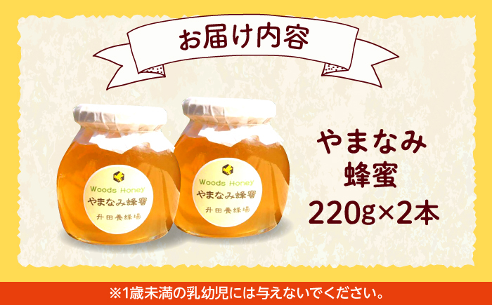 はちみつ 蜂蜜 ハチミツ ハニー honey 2本 セット やまなみ 純粋 非加熱 国産 お取り寄せ グルメ 贈答 ギフト 