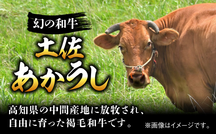 エイジング工法 熟成肉 土佐あかうし 特選スネ肉 煮込み用角切り 約1kg 冷凍 (約500g×2) 