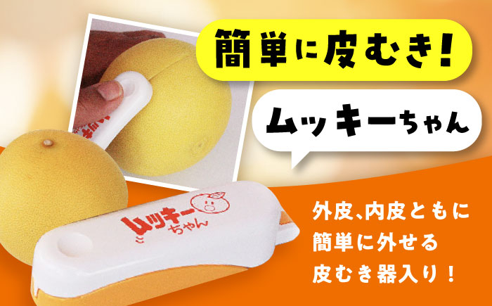 南国土佐の女王柑橘 水晶文旦 約3kg 7玉入り 文旦 ぶんたん フルーツ 果物 3キロ 高知県〈2024年9月～発送〉【フルー