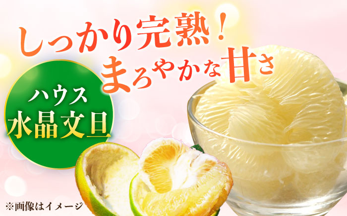 南国土佐の女王柑橘 水晶文旦 約5kg 7玉入り 大玉サイズ ぶんたん 文旦 フルーツ 高知名物 果物〈2024年9月～発送〉 