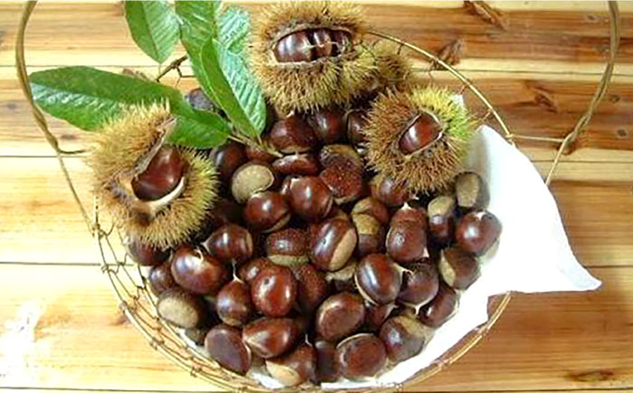 【先行予約】ほくほくと甘い熟成した夢甘栗 高級生栗＜秀品規格＞ 約1kg (約50個前後) 〈2025年10月～発送〉