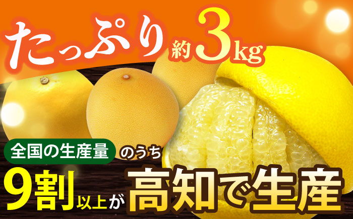 【先行予約】南国高知温室 土佐文旦 約3kg 7玉 文旦 ぶんたん フルーツ 果物 3キロ 高知県