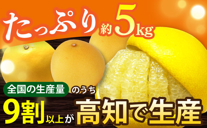 【先行予約】南国高知温室土佐文旦 約5kg 8玉 文旦 ぶんたん フルーツ 果物 5キロ 高知県