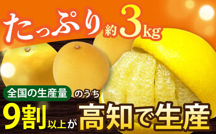 【先行予約】南国高知温室土佐文旦 約3kg 6玉 文旦 ぶんたん フルーツ 果物 3キロ 高知県
