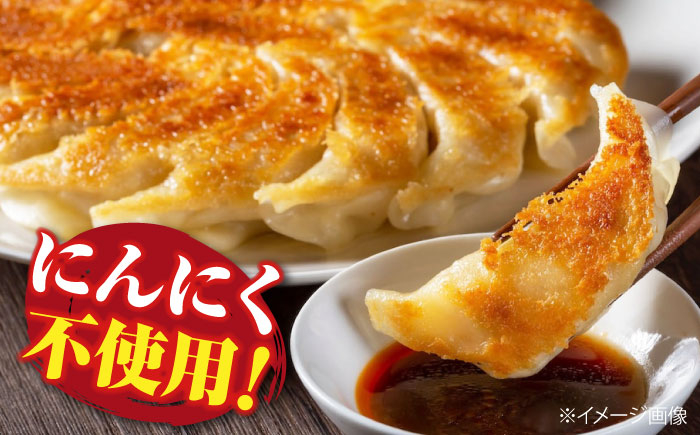 餃子 しょうが餃子 ギョウザ ぎょうざ 焼き餃子 餃子家 龍 おかず 冷凍食品 