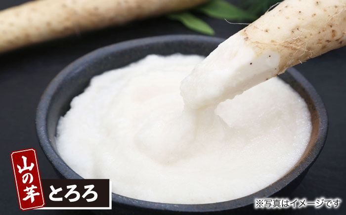 とろろ コロッケ メンチカツ お総菜 山の芋 長芋 やまいも 山芋 とろろ 惣菜