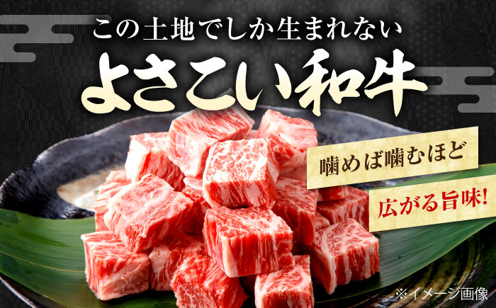 高知県産 よさこい和牛 角切り 約200g×2 総計約400g 牛肉 国産 小分け サイコロステーキ 焼肉 カレー
