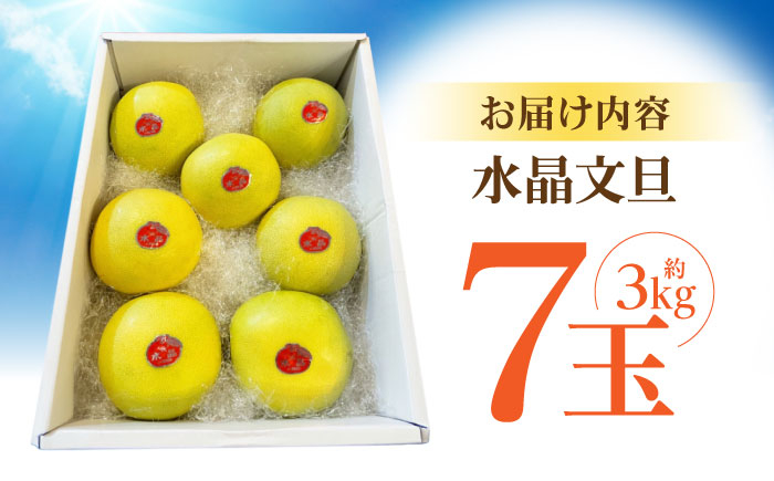 南国土佐の女王柑橘 水晶文旦 約3kg 7玉入り 文旦 ぶんたん フルーツ 果物 3キロ 高知県〈2024年9月～発送〉【フルー