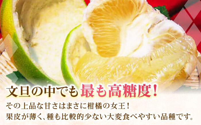 南国土佐の女王柑橘 水晶文旦 約3kg 6玉入り ぶんたん 文旦 フルーツ 高知名物 果物〈2024年9月～発送〉 【フルーツシ
