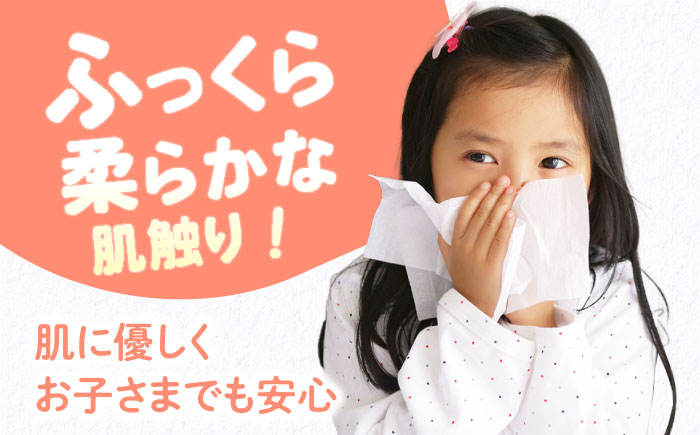  抗菌  ウイルス対策 保湿 ティッシュ 花粉症 対策 てっしゅ ティッシュペーパー ぽけっとてぃっしゅ やわらか 柔らかい