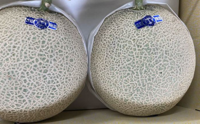 【先行予約】高知市 春野町産 マスクメロン 2玉 (約2.8kg~約3.4kg 箱重量込み) 